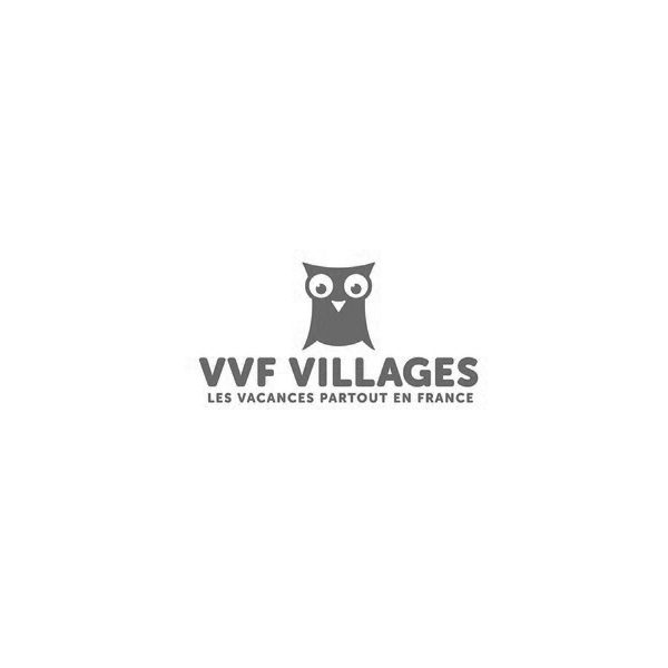 20130620095256Logo_VVF_Villages-3